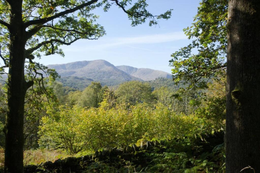 Ferienwohnung Pippins 7 Neaum Crag Ambleside Exterior foto